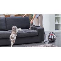 DYSON CINETIC BIG BALL ABSOLUTE 2 700W SUPURGE