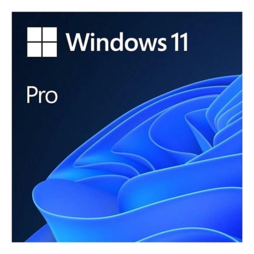 MS WINDOWS 11 PRO 64BIT ENG (OEM) FQC-10528