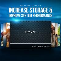 PNY CS900 250GB 535/500MB/s 2,5\" SATA3 SSD (SSD7CS900-250-RB)