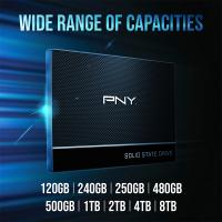 PNY CS900 250GB 535/500MB/s 2,5\" SATA3 SSD (SSD7CS900-250-RB)