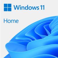 WİNDOWS 11 HOME - ESD KW9-00664